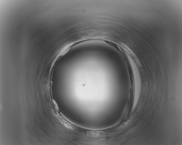 X0000080130956200612151735