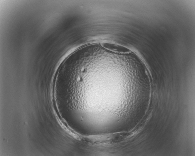 X0000080130957200612151735