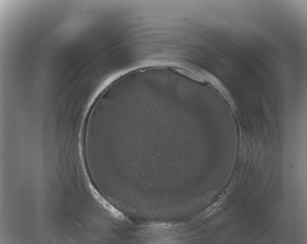 X0000080130958200612151735