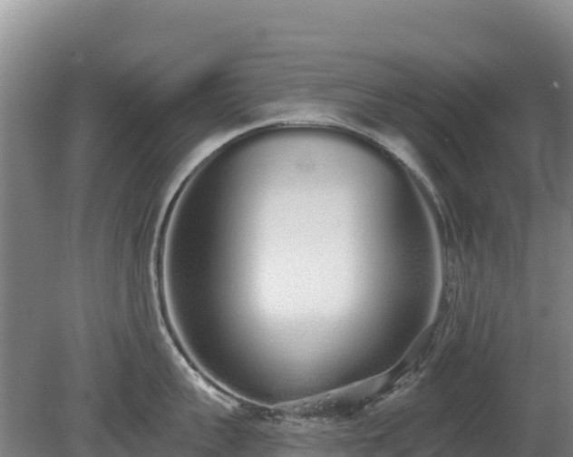 X0000080130959200612151735