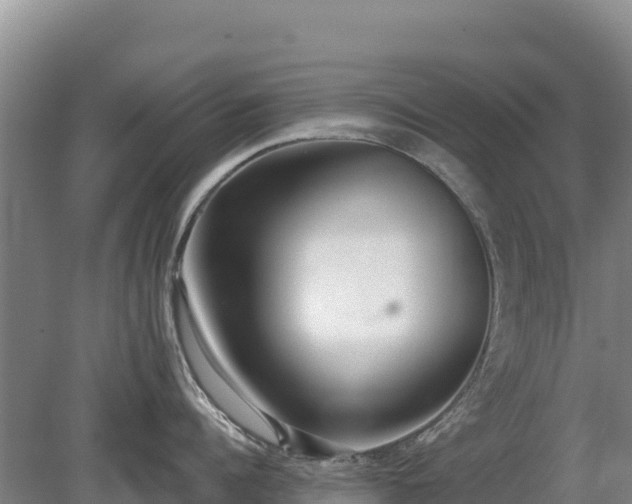 X0000080130960200612151735