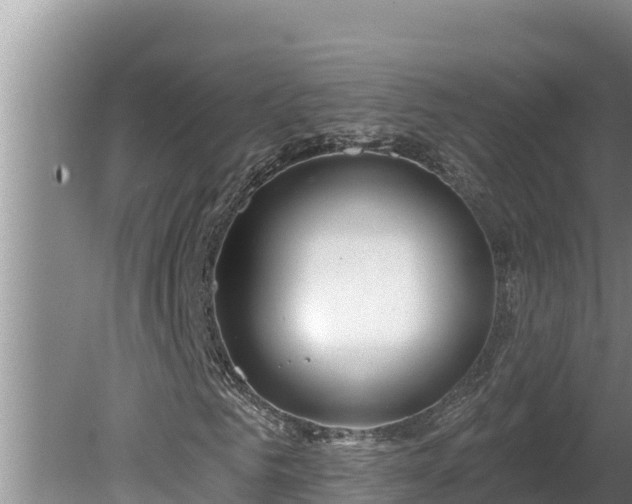 X0000080130961200612151734