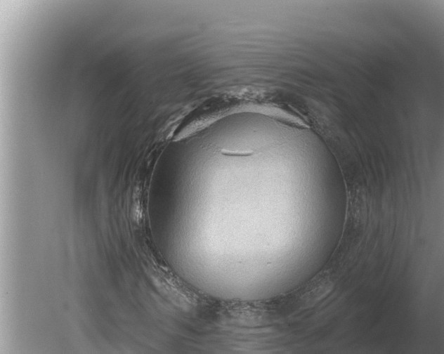 X0000080130962200612151734