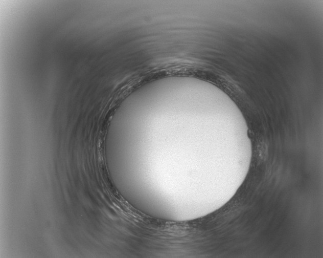 X0000080130964200612151734