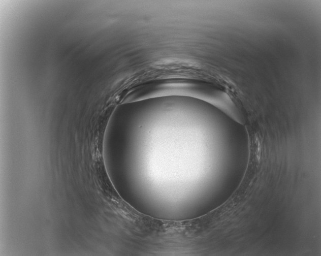 X0000080130965200612151734