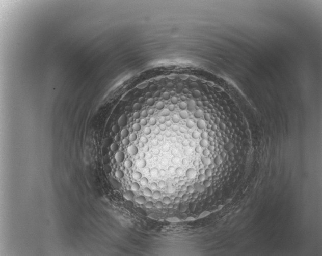 X0000080130967200612151734