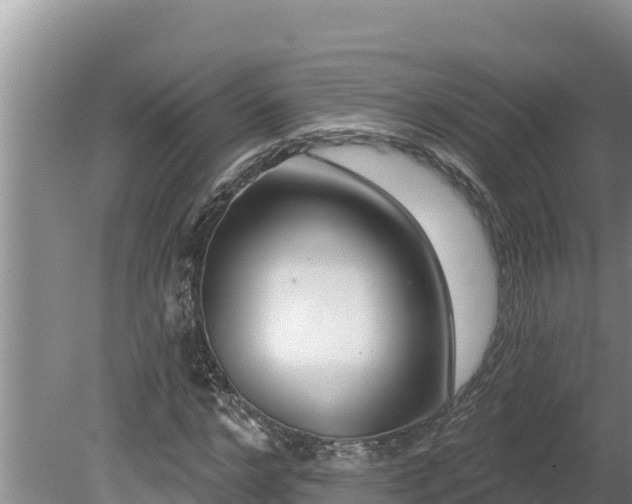 X0000080130968200612151734