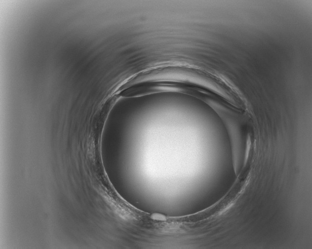 X0000080130969200612151734