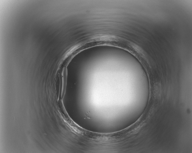 X0000080130970200612151734