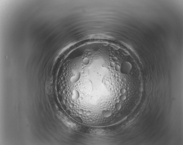 X0000080130971200612151734