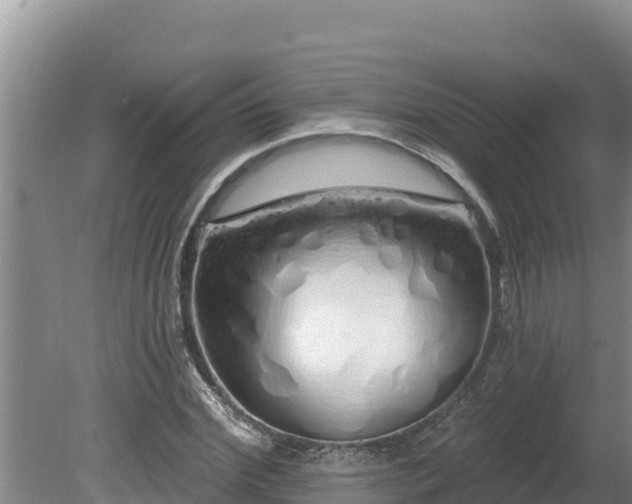 X0000080130972200612151734