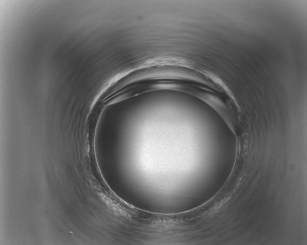 X0000080130973200612151734