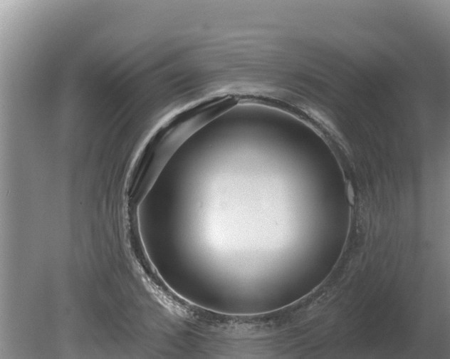 X0000080130976200612151734