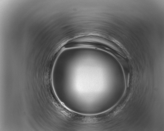 X0000080130977200612151734