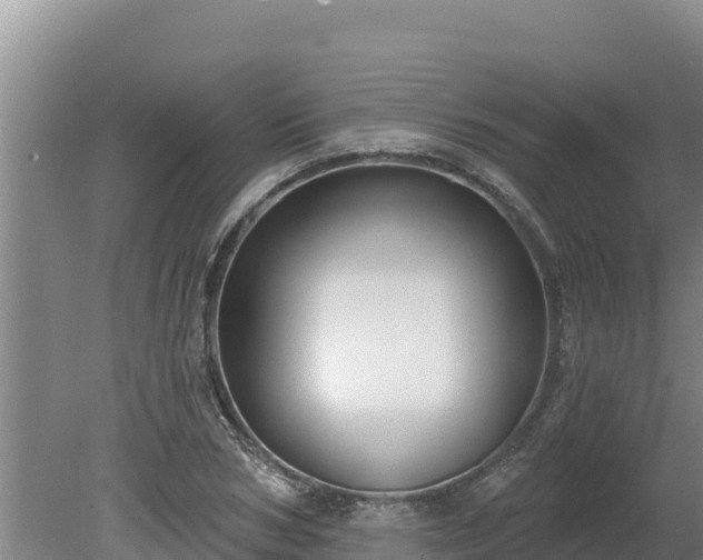 X0000080130978200612151734