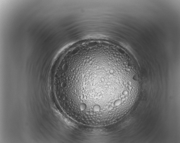 X0000080130979200612151734