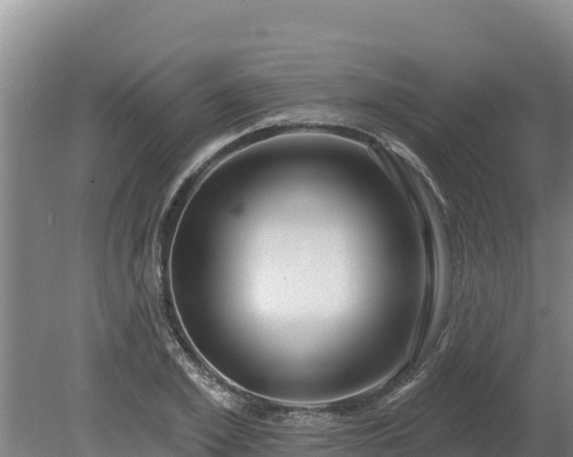 X0000080130981200612151734