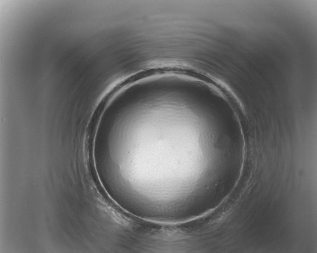 X0000080130983200612151734