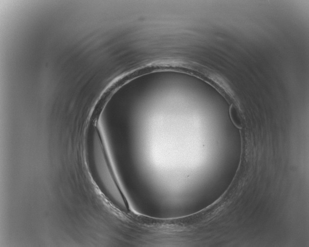 X0000080130984200612151734