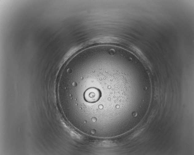 X0000080130986200612151734