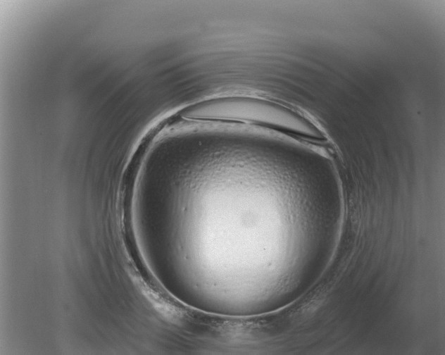 X0000080130987200612151734