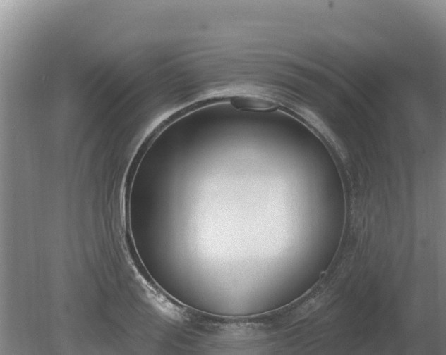 X0000080130988200612151734