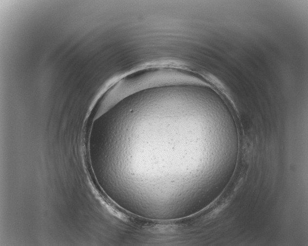 X0000080130989200612151734