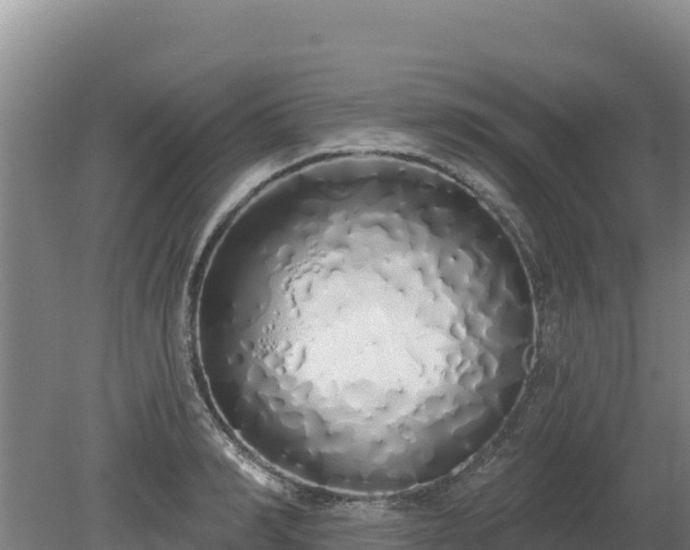 X0000080130990200612151734