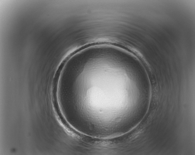 X0000080130991200612151734