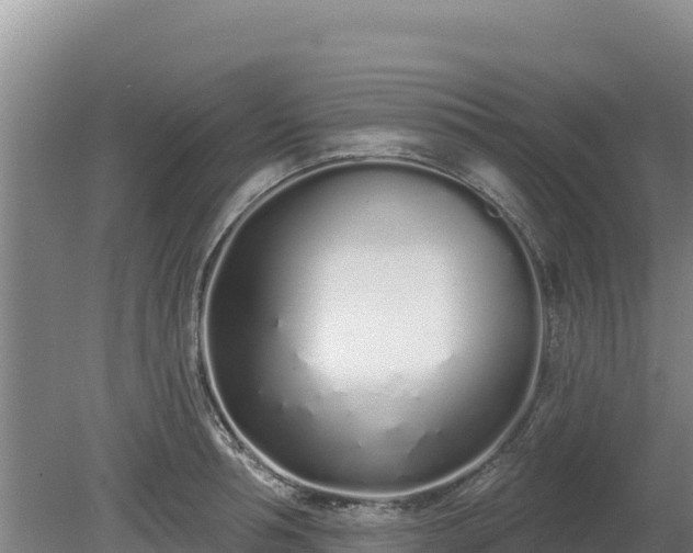 X0000080130994200612151734