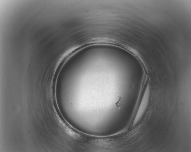 X0000080130995200612151734