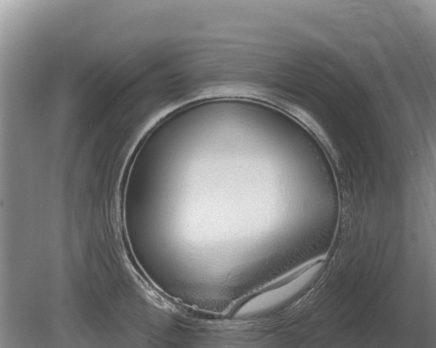 X0000080130996200612151734