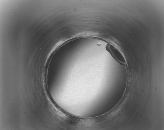 X0000080130997200612151734