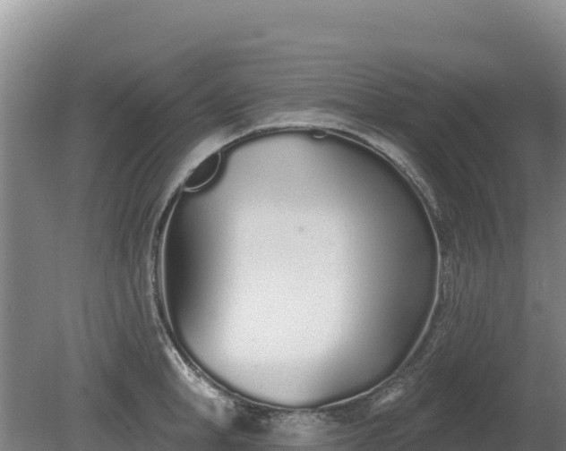 X0000080130998200612151734