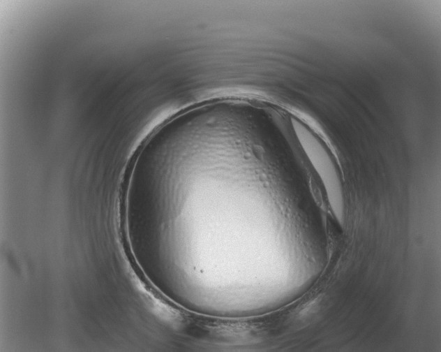 X0000080130999200612151734