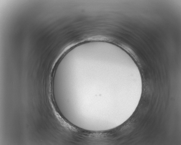 X0000080131000200612151734