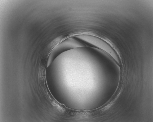 X0000080131001200612151734