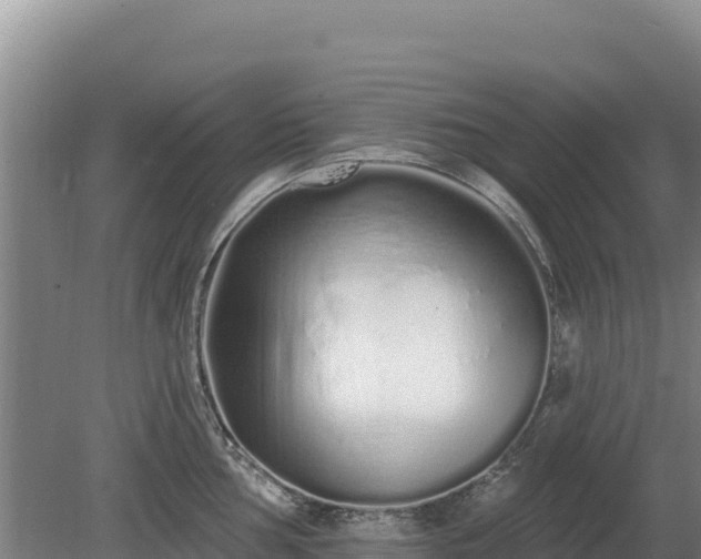 X0000080131002200612151734