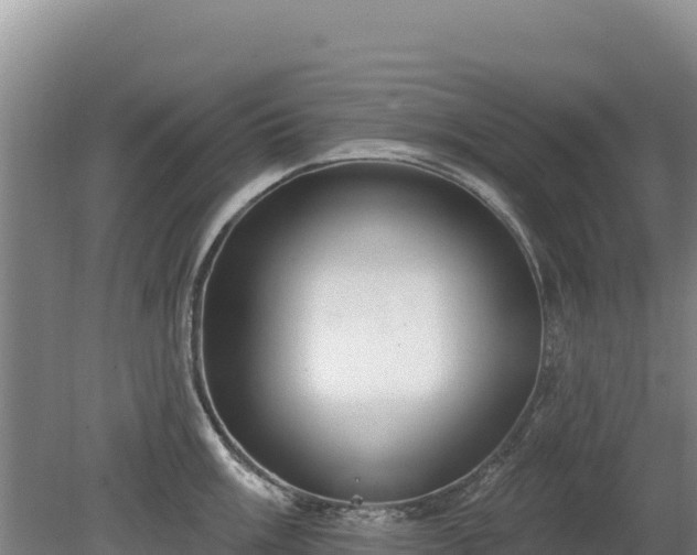 X0000080131003200612151734