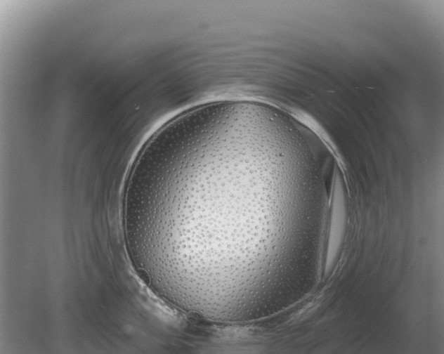 X0000080131004200612151734