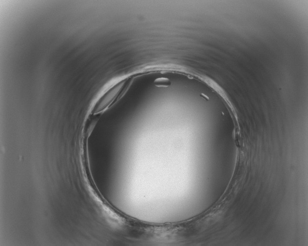 X0000080131005200612151733