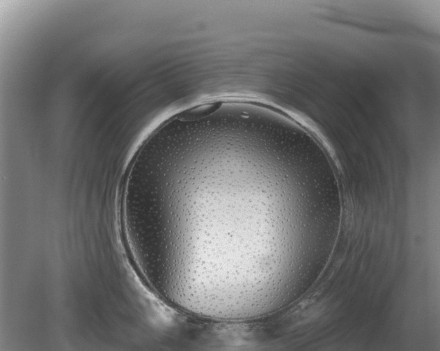 X0000080131006200612151733