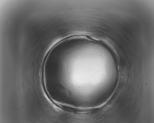 X0000080131007200612151733