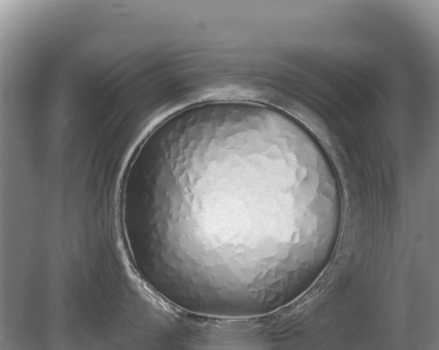 X0000080131008200612151733