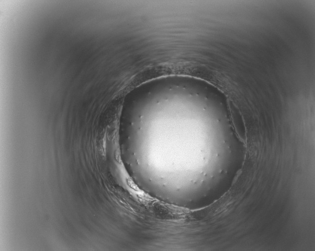 X0000080131010200612151733