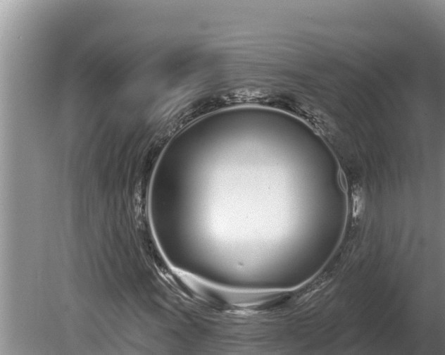 X0000080131011200612151733