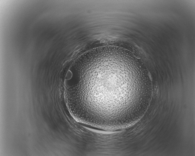 X0000080131012200612151733