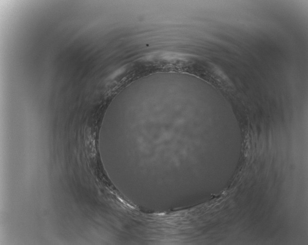 X0000080131013200612151733