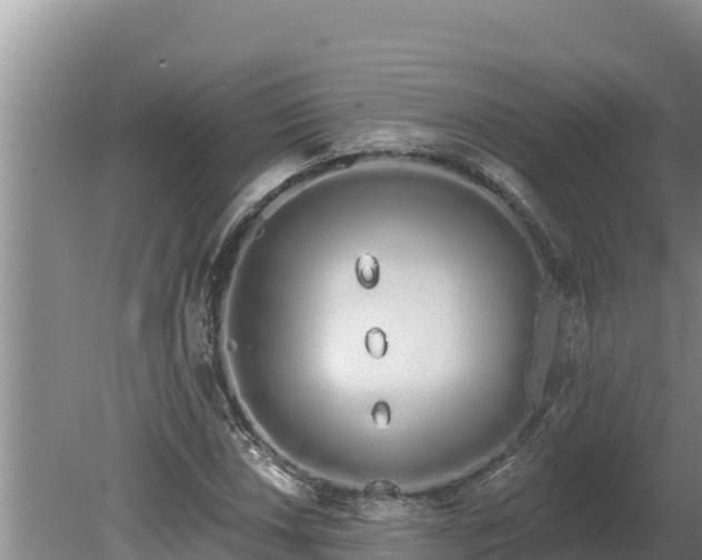 X0000080131018200612151733