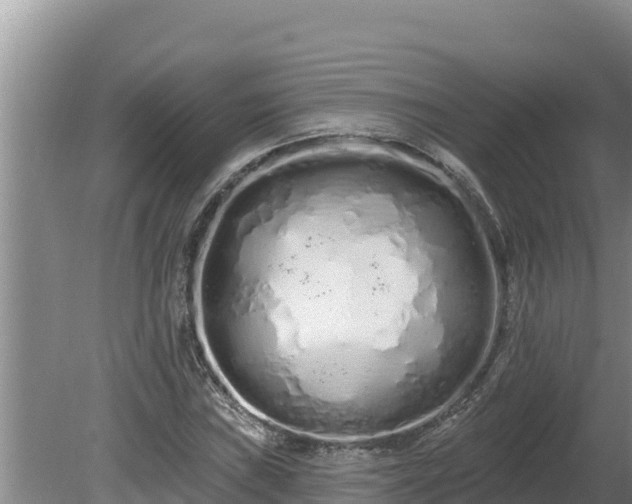 X0000080131019200612151733